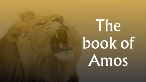 Book of Amos